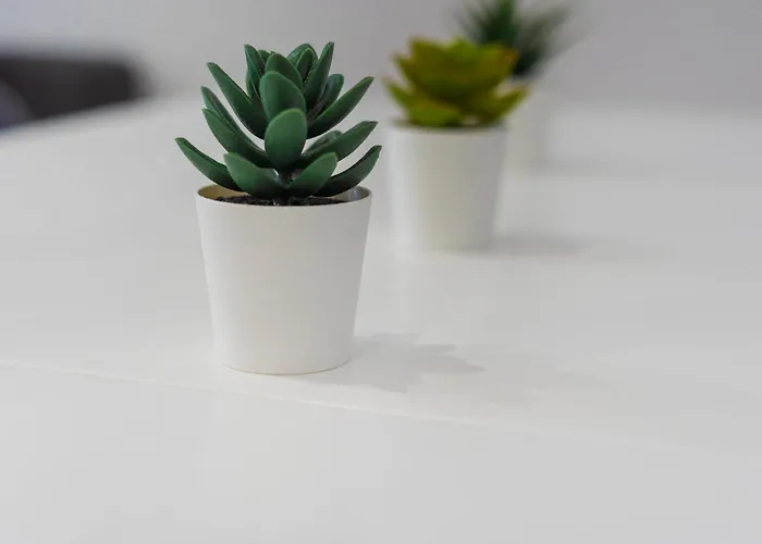 Couette-café Vlc Host- Fray Pedro 3*