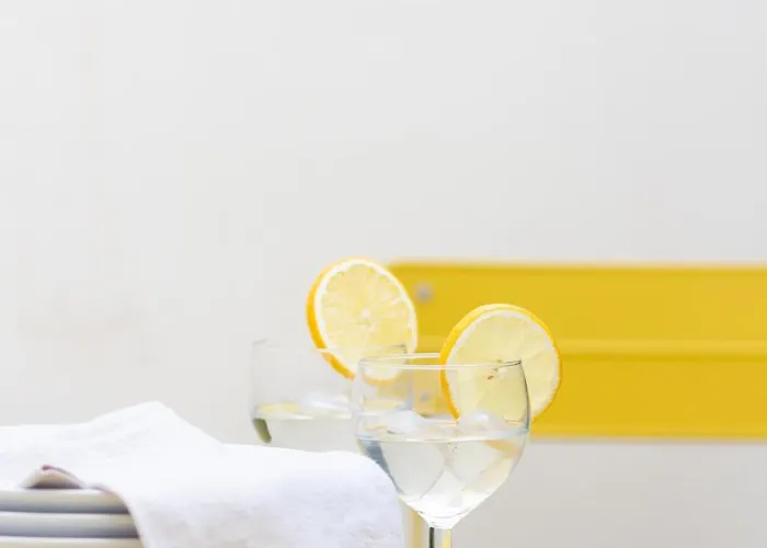 Vlc Host- Fray Pedro Valence