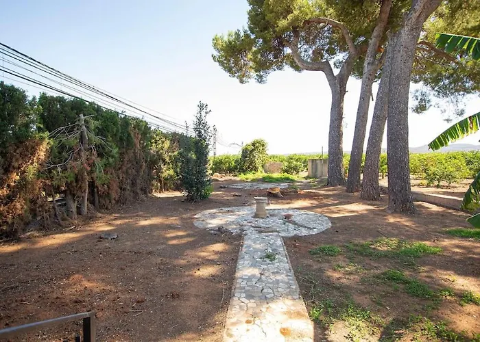 Azahar - Piscina - Barbacoa - Naturaleza