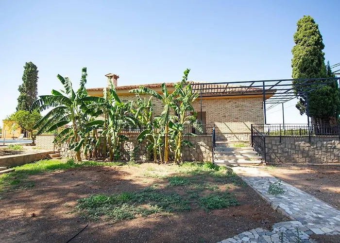 Azahar - Piscina - Barbacoa - Naturaleza Valencia