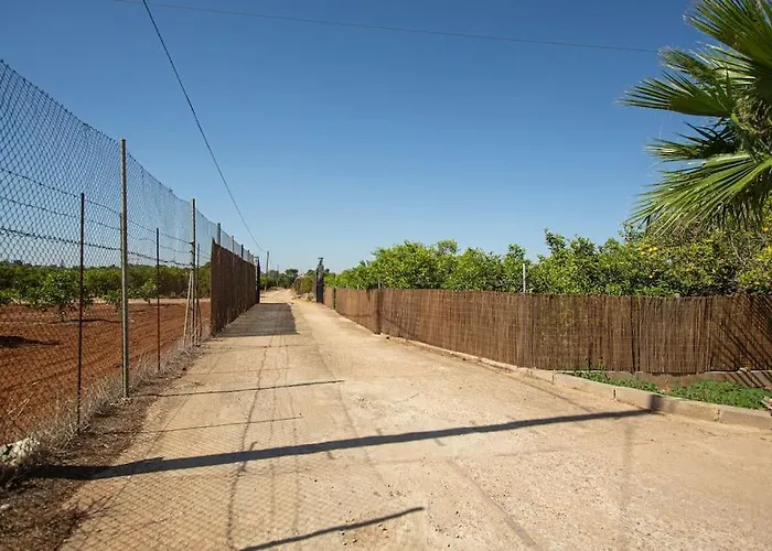 Azahar - Piscina - Barbacoa - Naturaleza