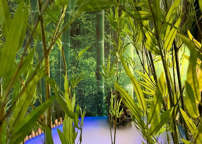 The Pod Village Auberge de jeunesse *