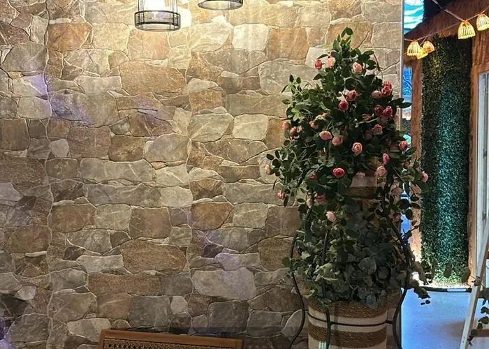 Auberge de jeunesse The Pod Village