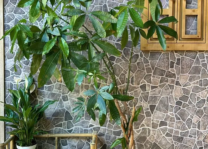 The Pod Village Auberge de jeunesse