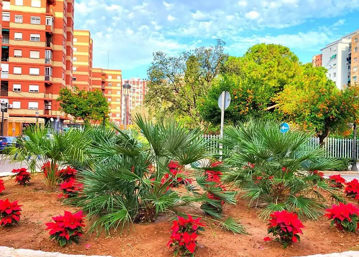 Nuevo Costa Del Alma Valence