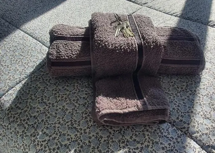 Tranquila Y Centrica Matrimonio En Vivienda Compartida