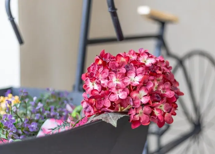 Lejlighed Che Loft! Artes Y Ciencias