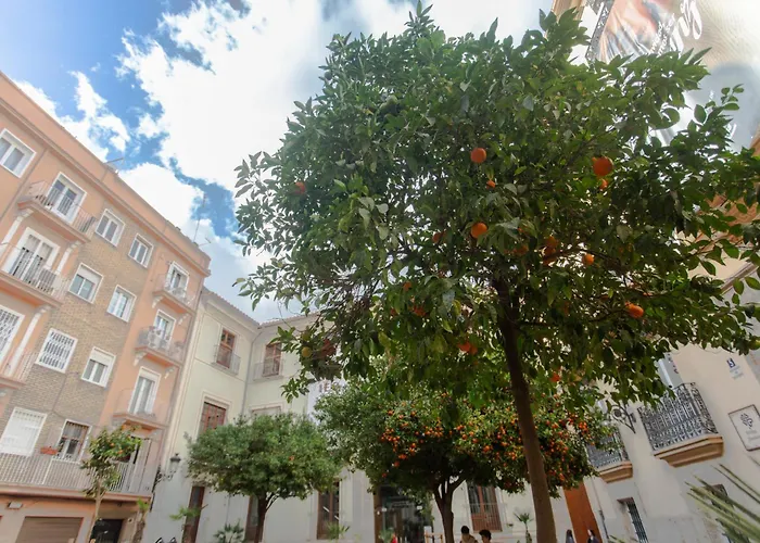 Vlc - Cisneros Valencia