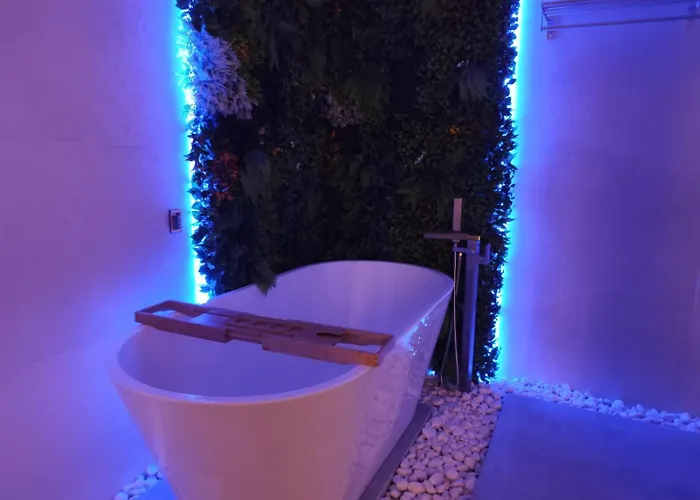 Lejlighed Amplio Estudio En Valencia