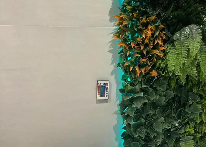 Amplio Estudio En Valencia *