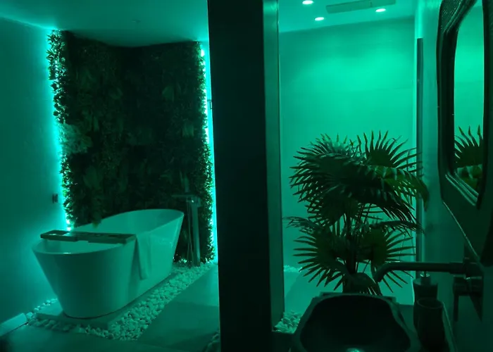 Amplio Estudio En Valencia *