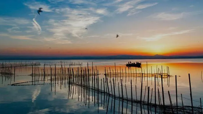 Amplio Estudio En Valencia * Valencia