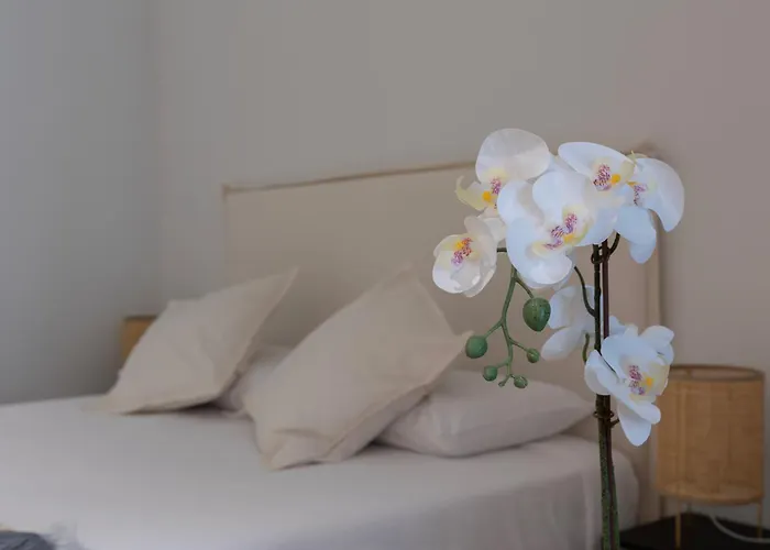 Apartment Lo - Loft - Modernos Y Acogedores Estudios Cerca A Artes Y Ciencias