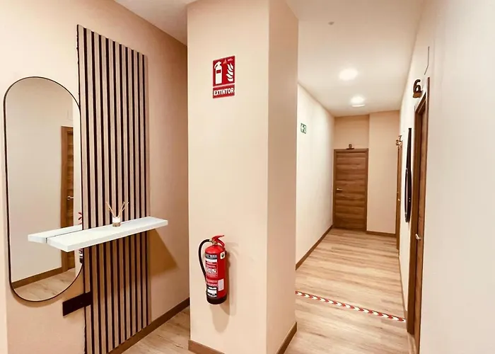 Optimus Comfort Campoamor 101