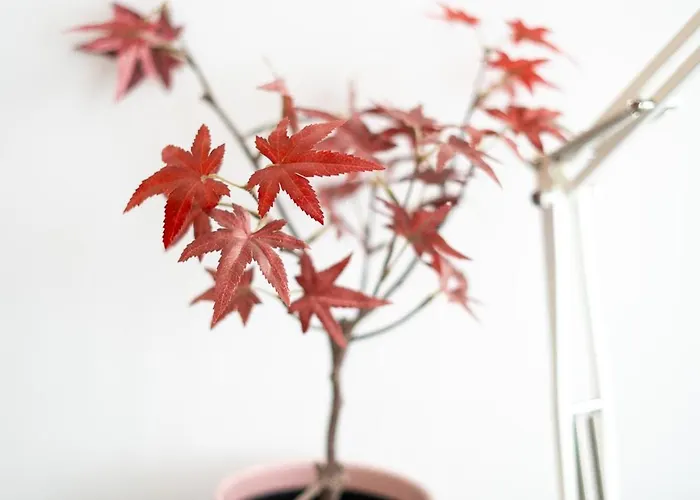 Pv Loft - Modernos Y Comodos Estudios Duplex Cerca A Russafa