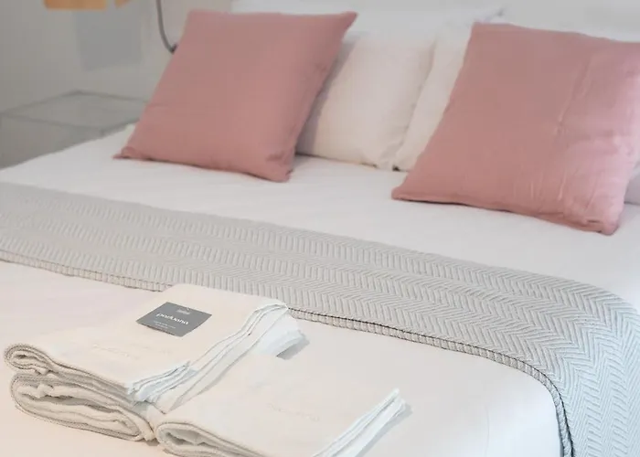 Pv Loft - Modernos Y Comodos Estudios Duplex Cerca A Russafa *