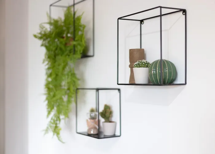 Dormforyou Ciudad De Ciencias Terraza