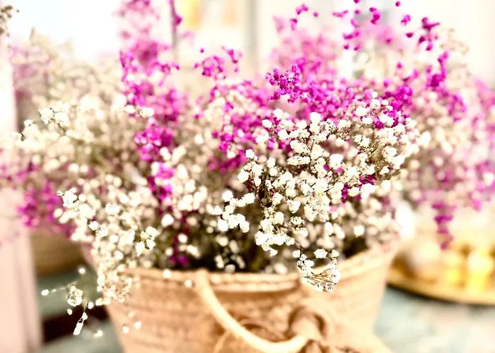 아파트 El Palacete Gran Via *