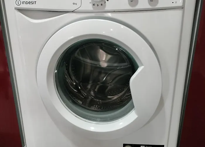 Familias Y Grupos Muy Grande En El Centro De *