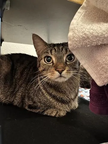 Privat bolig Gemuetliches 