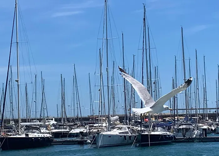 Master&commander * Valence