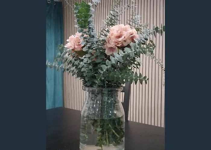 Familias Y Grupos Muy Grande En El Centro De *