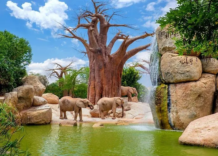 Duplex-lofts Les Arts I Les Ciencies Βαλένθια