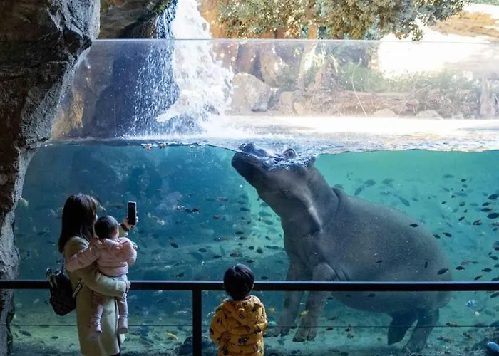 Duplex-lofts Les Arts I Les Ciencies شقة فالنسيا