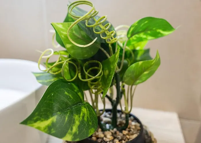 Apartment Les Arts Turia By Concept Flats