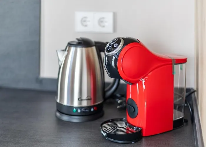 Premium Junto Al Rio Turia 1 *