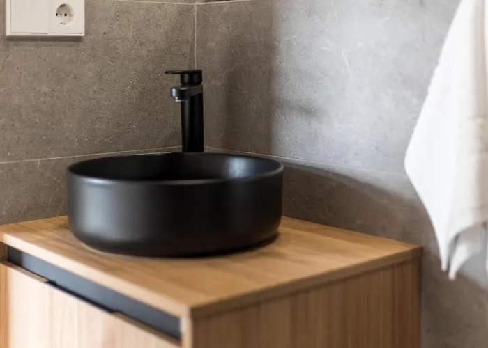 Premium Junto Al Rio Turia 1 * Valencie