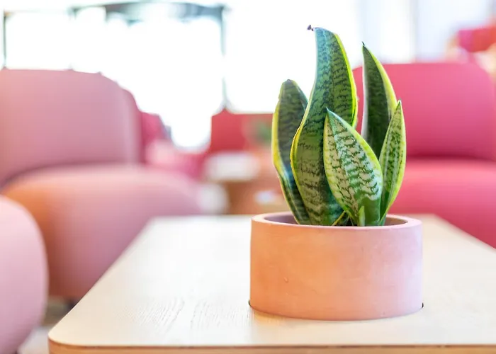 Nido Malvarrosa - فندق