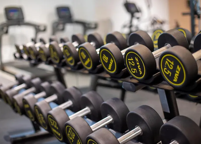 Nido Malvarrosa - * Valence