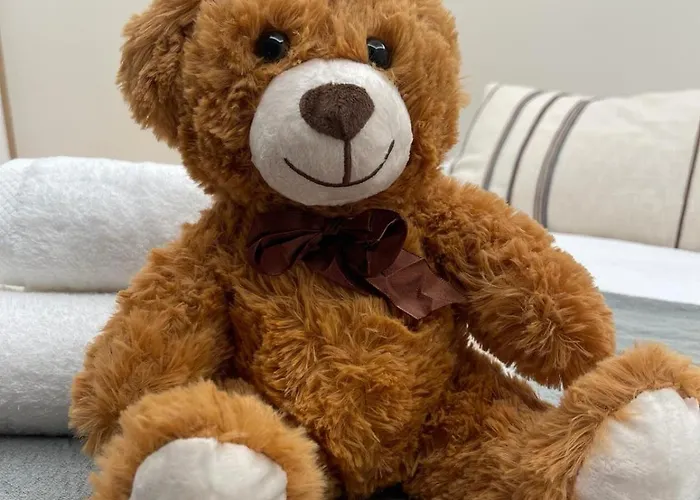 Osito Hub - Poeta Duran *