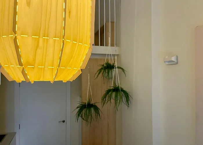 Osito Hub - Poeta Duran