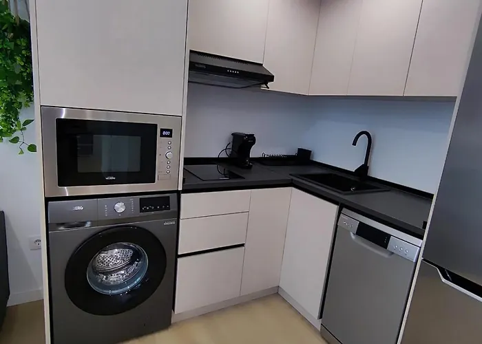 Rio Turia Jirafa فالنسيا