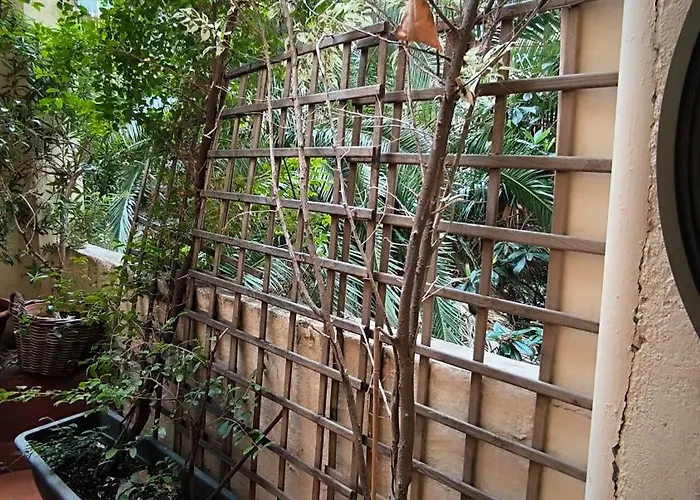 B&B 7 Moons 발렌시아