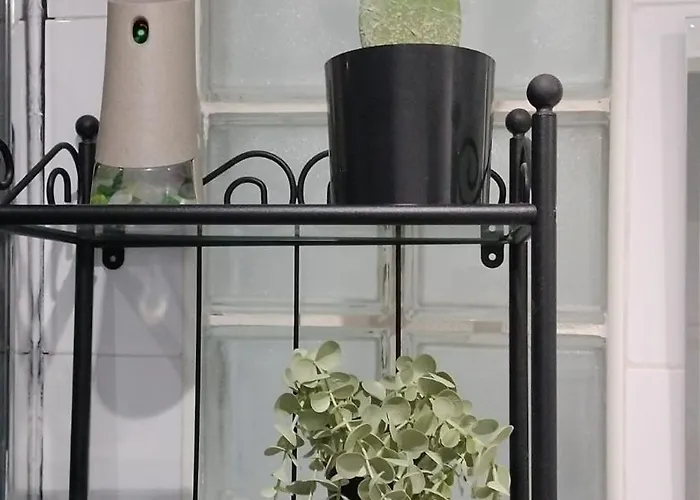 Familias Y Grupos Muy Grande En El Centro De * Βαλένθια