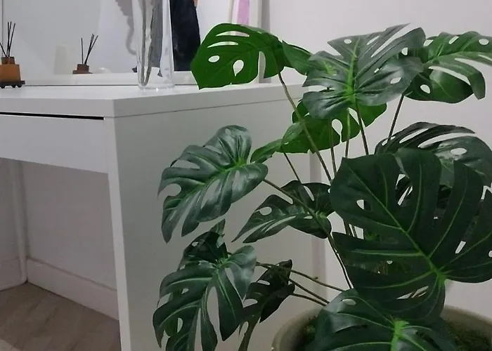 아파트 Familias Y Grupos Muy Grande En El Centro De