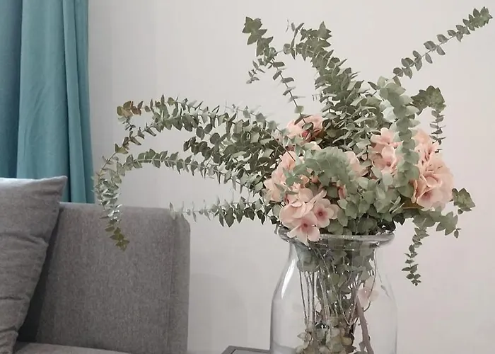 Familias Y Grupos Muy Grande En El Centro De *