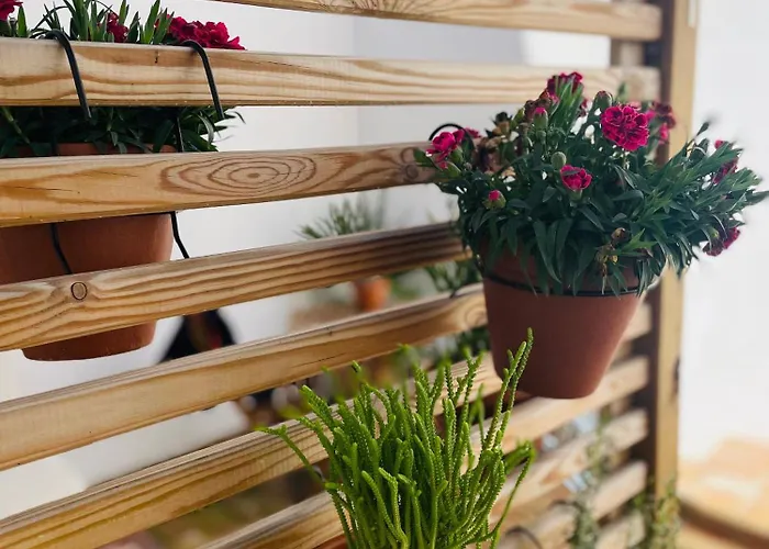 Διαμέρισμα Casa Valenciana Con Terraza *