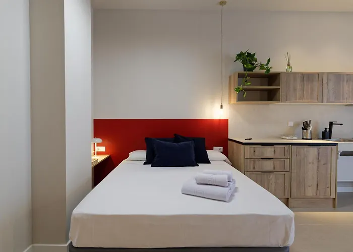 Osito Hub - Colomer Valensiya