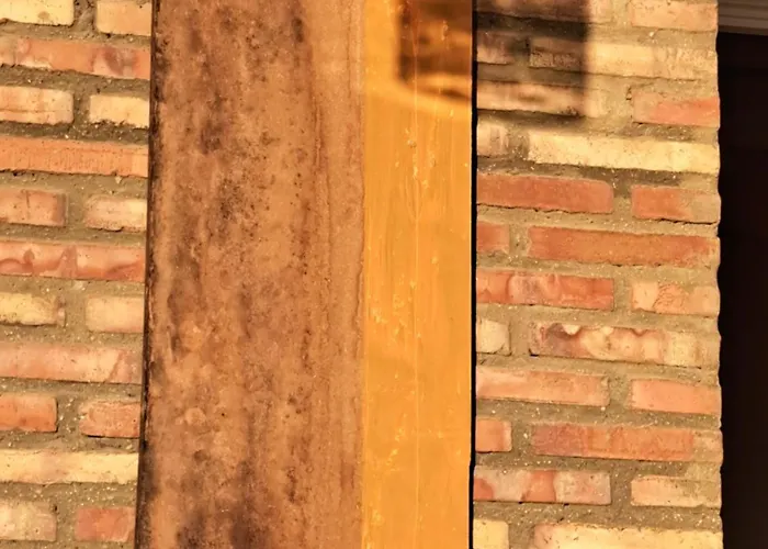 Casa En Valencia, Piscina, Cerca De Golf, Playas, Moto Gp * Valencia