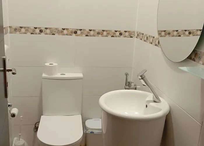 Rous - Solo Adultos 瓦伦西亚