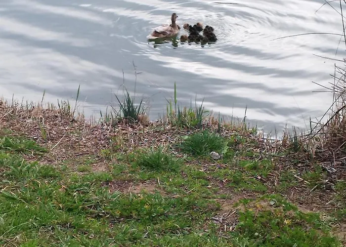 Διαμέρισμα Magnificas Vistas *