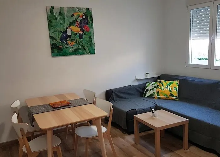 Malva Arena 瓦伦西亚