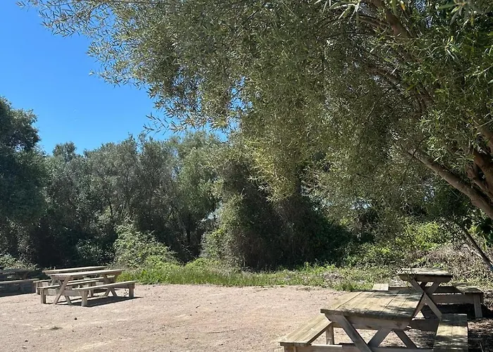 Casa Con Barbacoa En Urbanizacion Privada * Βαλένθια