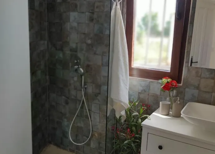 Relaxing House Overlooking Beautiful Of Arts Βαλένθια