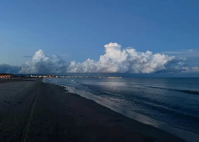 Апартаменты Stylish Well-connected Beachfront Flat