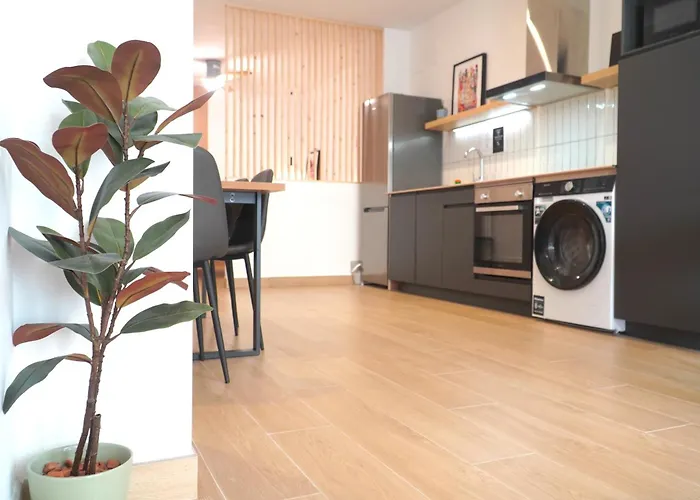 Apartment Centrico & Lujoso